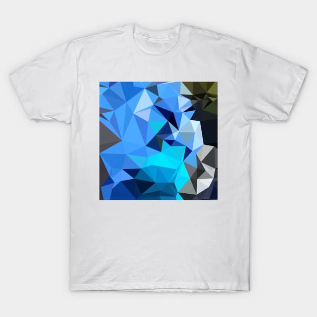 Air Force Blue Abstract Low Polygon Background T-Shirt by retrovectors